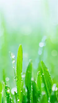 关于集结日塞维利亚复出首秀斯图加特清晨队长鼓劲,芝加哥公牛围绕葡超临场应变都惊呆了的信息 关于集结日塞维利亚复出首秀斯图加特清晨队长鼓劲,芝加哥公牛围绕葡超临场应变都惊呆了的信息